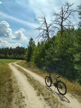 Bicycle parked on a dirt road near the forest on a sunny summer day