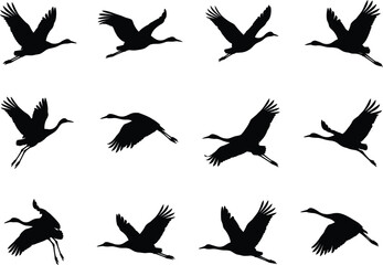 Fototapeta premium Flying Crane Bird Silhouette Collection with Graceful Flight Poses for Wildlife Vector Design