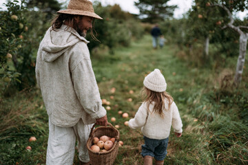Fototapeta premium Man and child walk through an autumn orchard. The man carries a basket of apples. The child walks beside him, wearing a knit hat. They share a quiet, peaceful moment together