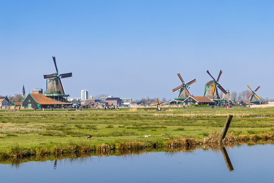 Zaandam, Netherlands. A beautiful view of historic windmills, green grass with birds, and a clear water canal at the historic village of Zaanse Schans.