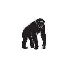 Black gorilla standing and looking down isolated on white background, Vector, illustration © Emdad