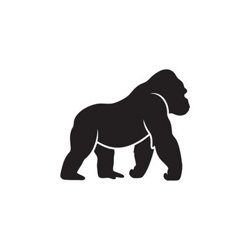 Black gorilla silhouette standing isolated on white background, Vector, illustration