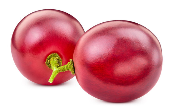 Two organic red grapes close up. Fresh red grapes isolated on white background with clipping path