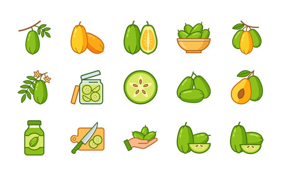 Bilimbi Fruit Flat Icon Set