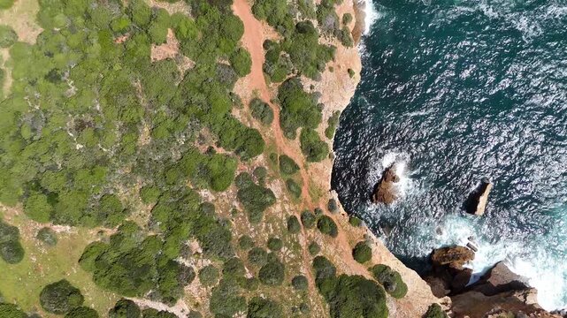 Aerial push in top down drone shot of the rugged Fisherman's Trail, Rota Vicentina, along the coastal cliffs near Sagres, Portugal. Lush green vegetation meets the Atlantic Ocean.
