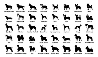 Dog Breed Silhouette Vector Collection With Retriever Shepherd Terrier And Hound © MD