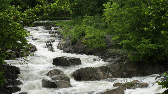 River rapids flowing over rocks in natural forest
