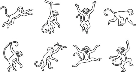 Collection of monkey silhouettes in various playful poses isolated on a white background, as line © Md
