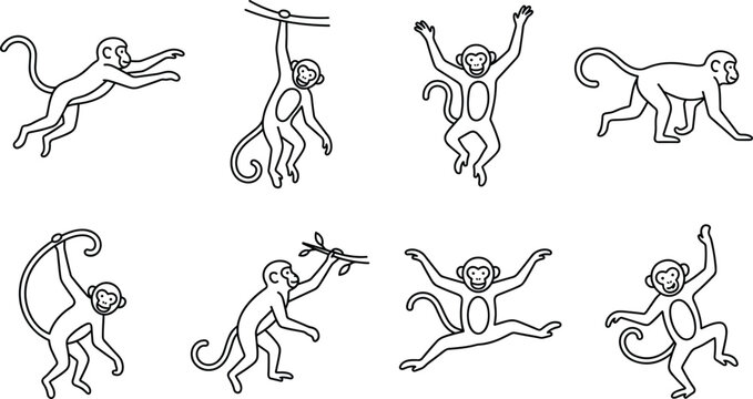 Collection of monkey silhouettes in various playful poses isolated on a white background, as line