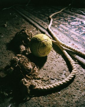 Worn yellow tennis ball resting on a textured floor surface next to a sturdy braided rope in dim ambient lighting
