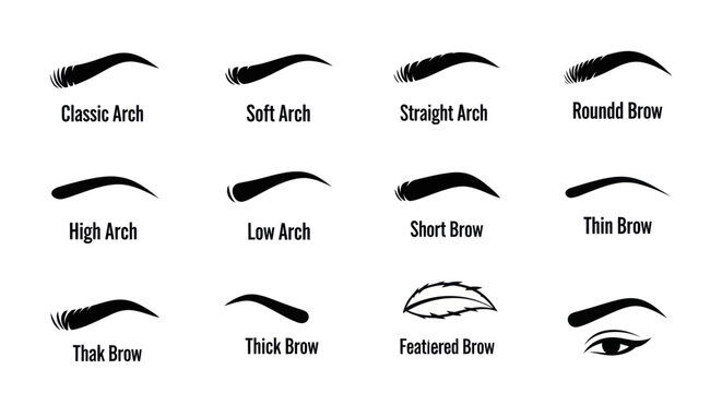 Various eyebrow shapes and styles are shown in a detailed illustration.
