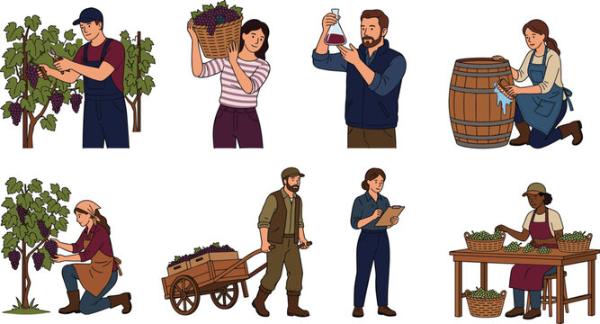 Collection of diverse winery workers harvesting grapes sorting crops and managing production in a vineyard vector illustration set