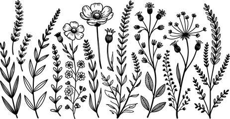 Hand drawn wildflowers and herbs vector set black ink botanical line art elements isolated on white background © Rafad_Studio