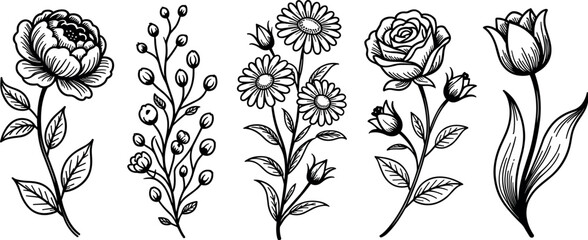 Vintage engraved botanical flowers collection with rose tulip daisy peony and berry branch vector line art illustrations © Rafad_Studio