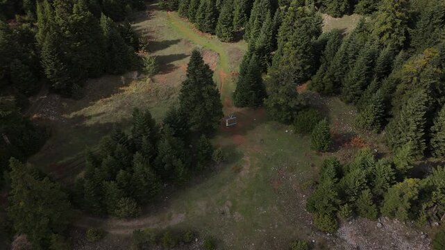 Drone aerial top view of an information sign board on a trail path in a green pine forest