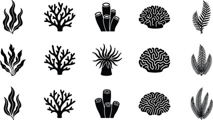 Set of underwater coral reef plants and marine life silhouettes with underwater silhouettes collection illustration underwaterlife marinebiology coralreef seaweedicons oceanlife wildlife © Kanon Islam
