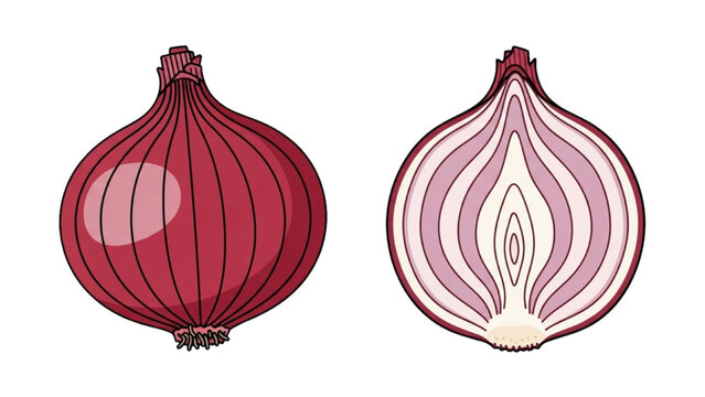 Detailed 2D Vector Illustration of Red Onions Sliced and Whole on White