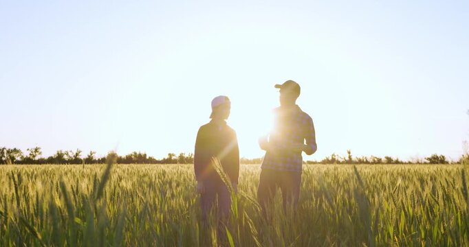Father and son walk through wheat field at sunset, enjoying meaningful conversation together. Warm countryside atmosphere represents family values, trust, support and lasting connection.