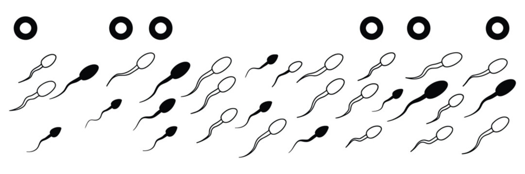 Sperm icon set for fertility journey, reproductive medicine, conception process, healthcare education and embryo development graphics