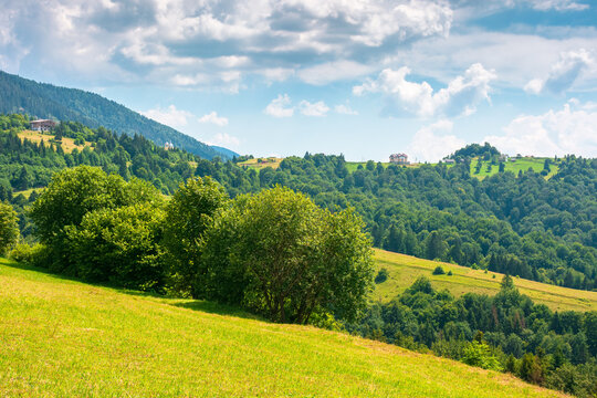 countryside mountain landscape of ukraine. rural fields and forested hills on a sunny day. remote place of mizhhirya district in transcarpathia for summer vacations