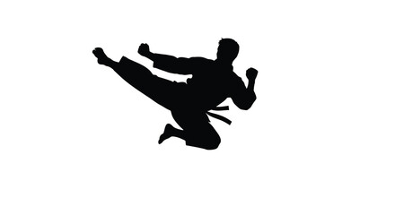Martial artist performing a dynamic kick against a white background black silhouette arts karate taekwondo fighter combat athlete sport exercise © Laily begum
