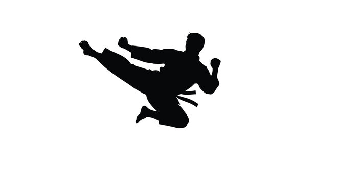 Martial artist performing a dynamic kick against a white background black silhouette arts karate taekwondo fighter combat athlete sport exercise