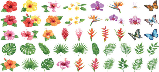 Watercolor tropical flowers and leaves set with exotic hibiscus orchid palm butterflies vector elements © MDRIFAT