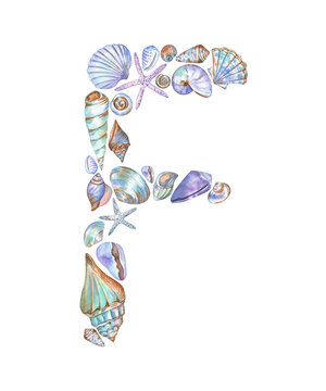 Alphabet letter F created from the seashells and starfish. Watercolor illustration isolated on transparent. For monograms, letter cards, stickers, scrapbooking, preschool projects, books