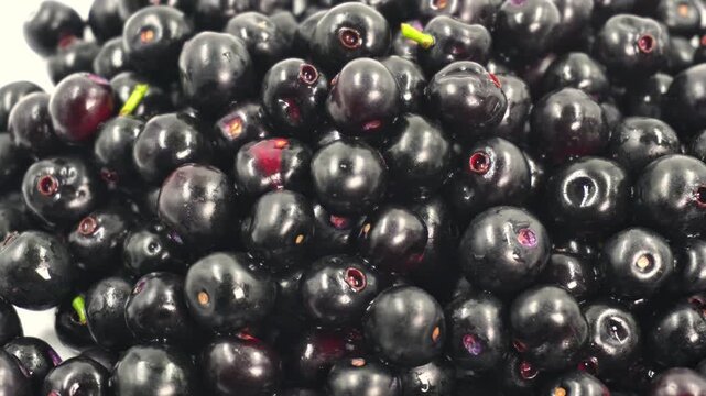 Fresh Ripe Indian Jamun Black Plum Berries. Glossy Purple Java Plums or Blackberry Fruits on White Background. Raw Purple Malabar Plum Berries Full Frame Texture for Diet and Nutrition.