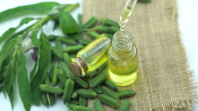 Dropping Pure Golden Sesame Oil from Pipette into Glass Dropper Bottle. Fresh Green Sesame Pods and Cold Pressed Sesame Oil on Burlap Mat. 