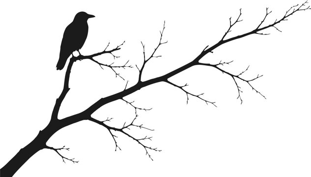 Raven Perched On Branch Silhouette Against White Background