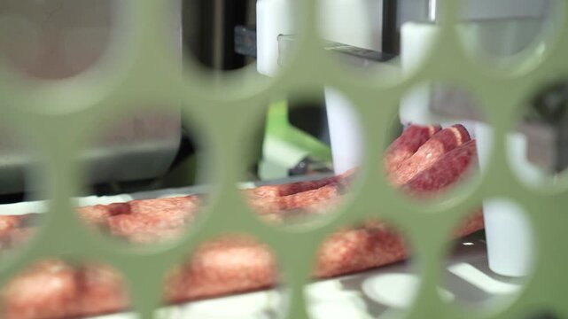 Raw cevapi sausages on an automated production conveyor