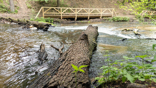 Nad Tanwią Nature Reserve - Roztocze