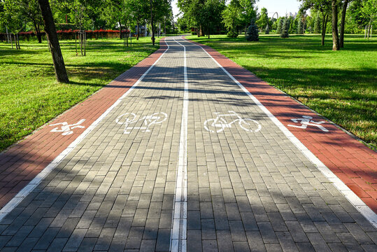 Bicycle lane with road markings in a green city park. Paved cycling route surrounded by trees, grass and open urban landscape.