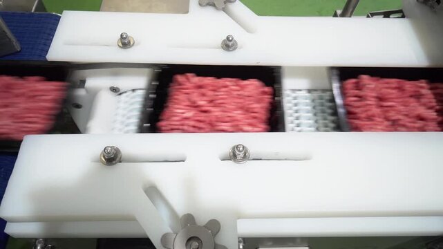 Fresh raw minced meat in plastic trays moving along an automated packaging conveyor belt at a food processing factory