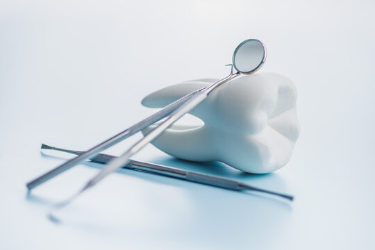 Dental Tools and Tooth Model on Blue Background for Oral Care and Dental Clinic Use