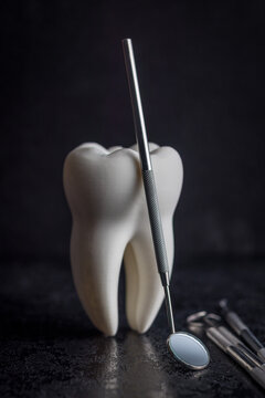 Dental Tooth Model With Stainless Steel Dental Tools and Mirror on Dark Background for Dentistry