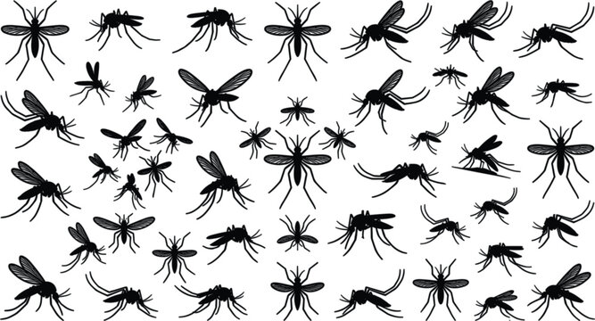 Mosquito silhouette insect vector illustration set with flying pests bugs and parasites for malaria dengue virus prevention design concepts