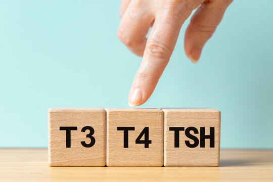 TSH, diagnosis of thyroid diseases, medical examination of t3 and t4, production and secretion of hormones, hypothyroidism or hyperthyroidism, Wooden blocks with text. Regular health examination