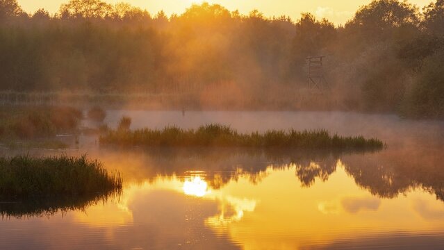 Sunset at Ahlhorn fish ponds, Ahlhorn, Lower Saxony, Germany