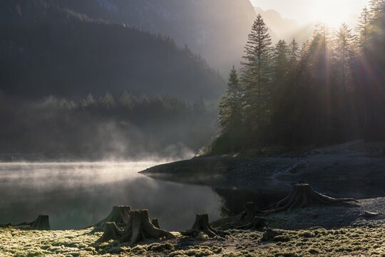 The Vordere Gosausee in autumn. Several tree stumps in the foreground. Fog rises from the lake. Sun, sunbeams, backlight. Vorderer Gosausee, Gosau, Gosau Valley, Salzkammergut, Upper Austria, Austria