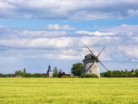 View over a green barley field to the tower windmill and the church tower of the small village of Ebersroda, Freyburg (Unstrut), Saxony-Anhalt, Germany