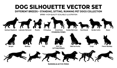 Create a premium vector illustration featuring 30 unique black dog silhouettes isolated on a solid white background. Include Labrador Retriever, German Shepherd, Golden Retriever, Beagle, Border Colli © Md