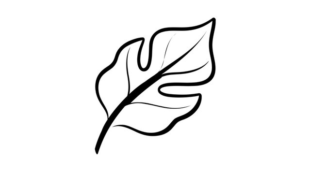 Clean flat vector line icon of a monstera leaf with split edges, suited for jungle decor, plant shops, and tropical branding.