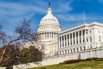 Obraz premium Capitol Building in Fall - Washington, D.C., USA
