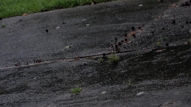 Rain flowing downhill a driveway from gutter during the latter half of a severe storm event. Waves of water stream down the driveway from the roof