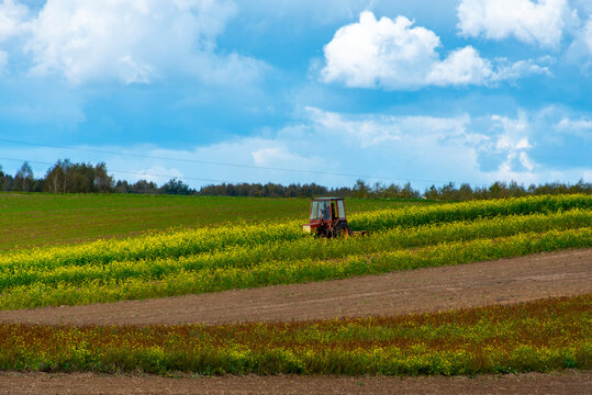 Tractor Cultivating in the Field