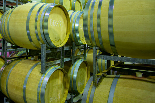 Oak Wine Barrels in a Cellar