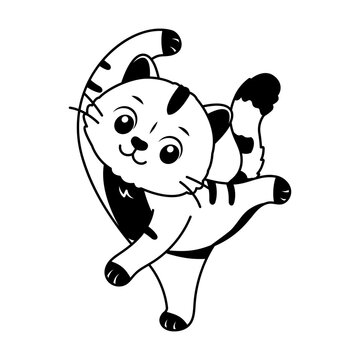 Cat balancing in a playful acrobatic pose.