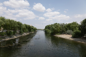 Fototapeta premium A breathtaking riverside setting, adorned with lush green trees and a clear blue sky.